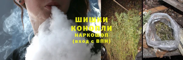 PSILOCYBIN Бородино