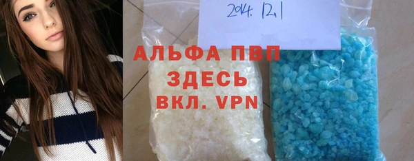 PSILOCYBIN Бородино