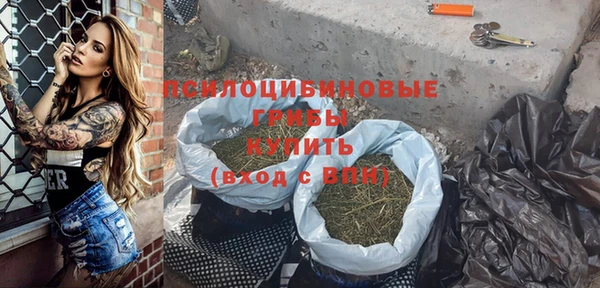 ГАЛЛЮЦИНОГЕННЫЕ ГРИБЫ Бугульма