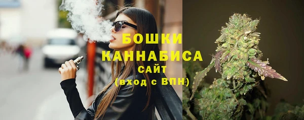 PSILOCYBIN Бородино