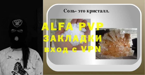 PSILOCYBIN Бородино
