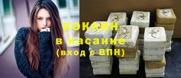 PSILOCYBIN Бородино