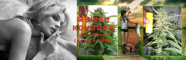 PSILOCYBIN Бородино