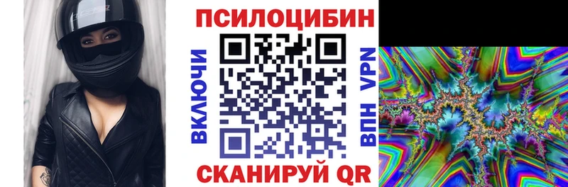 Псилоцибиновые грибы прущие грибы  Зима 