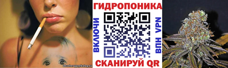 MEGA онион  Зима  Канабис план 